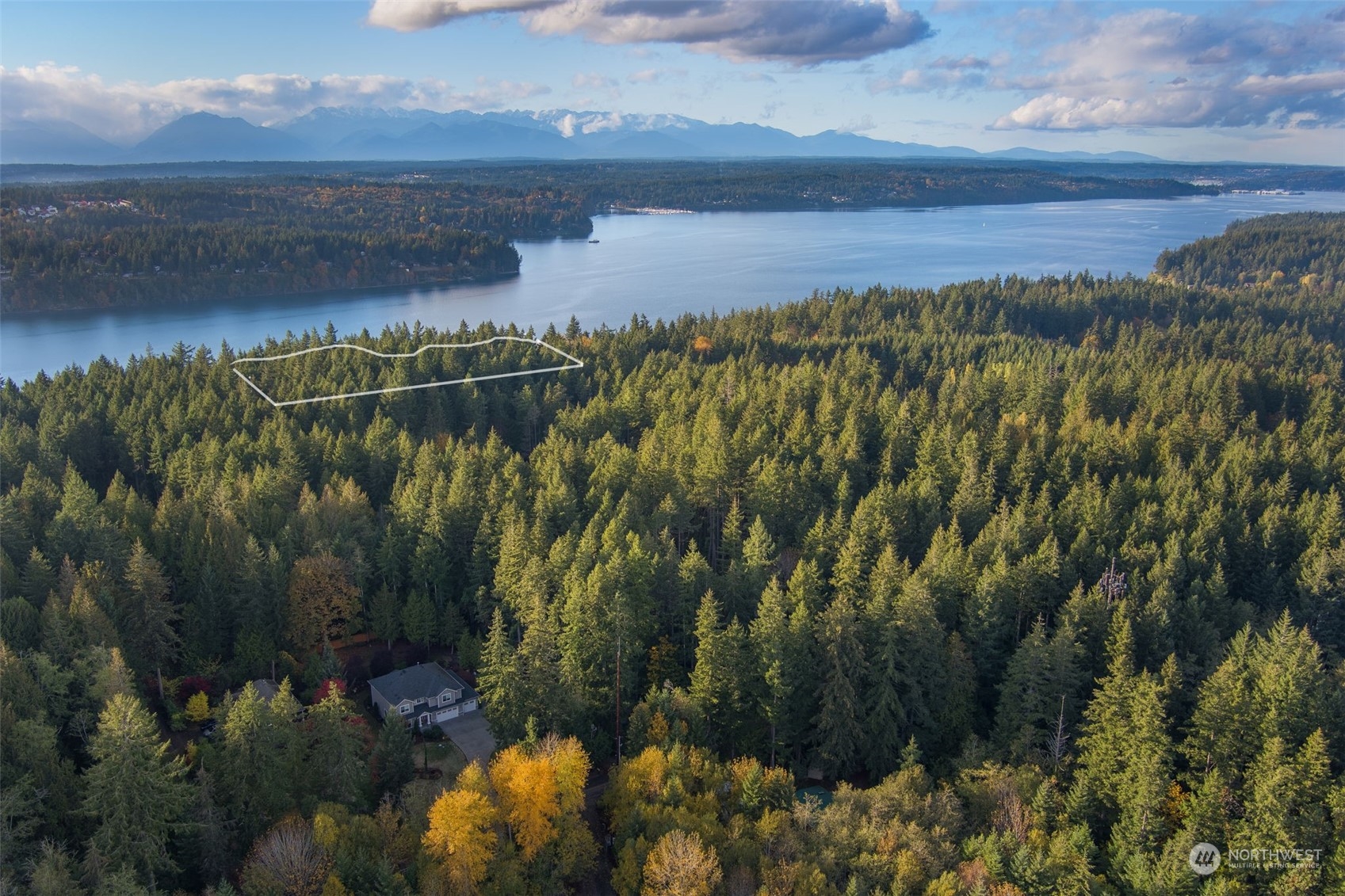 7381 Springridge Road Northeast Bainbridge Island, WA 98110 - Photo 16 of 22 Gallery Image 16