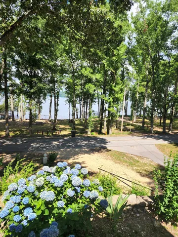 a view of a yard with plants and trees