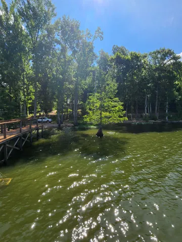 a view of a tree in the middle of a yard