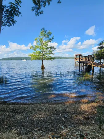 a view of a yard with an outdoor space
