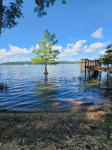 a view of a yard with an outdoor space