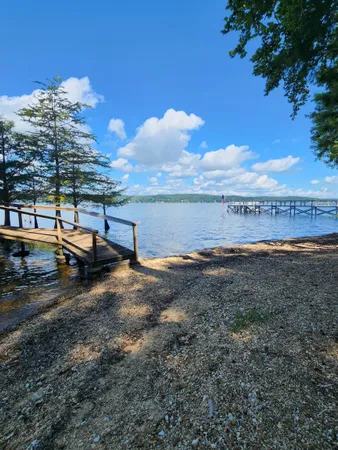 a view of a yard with a tree