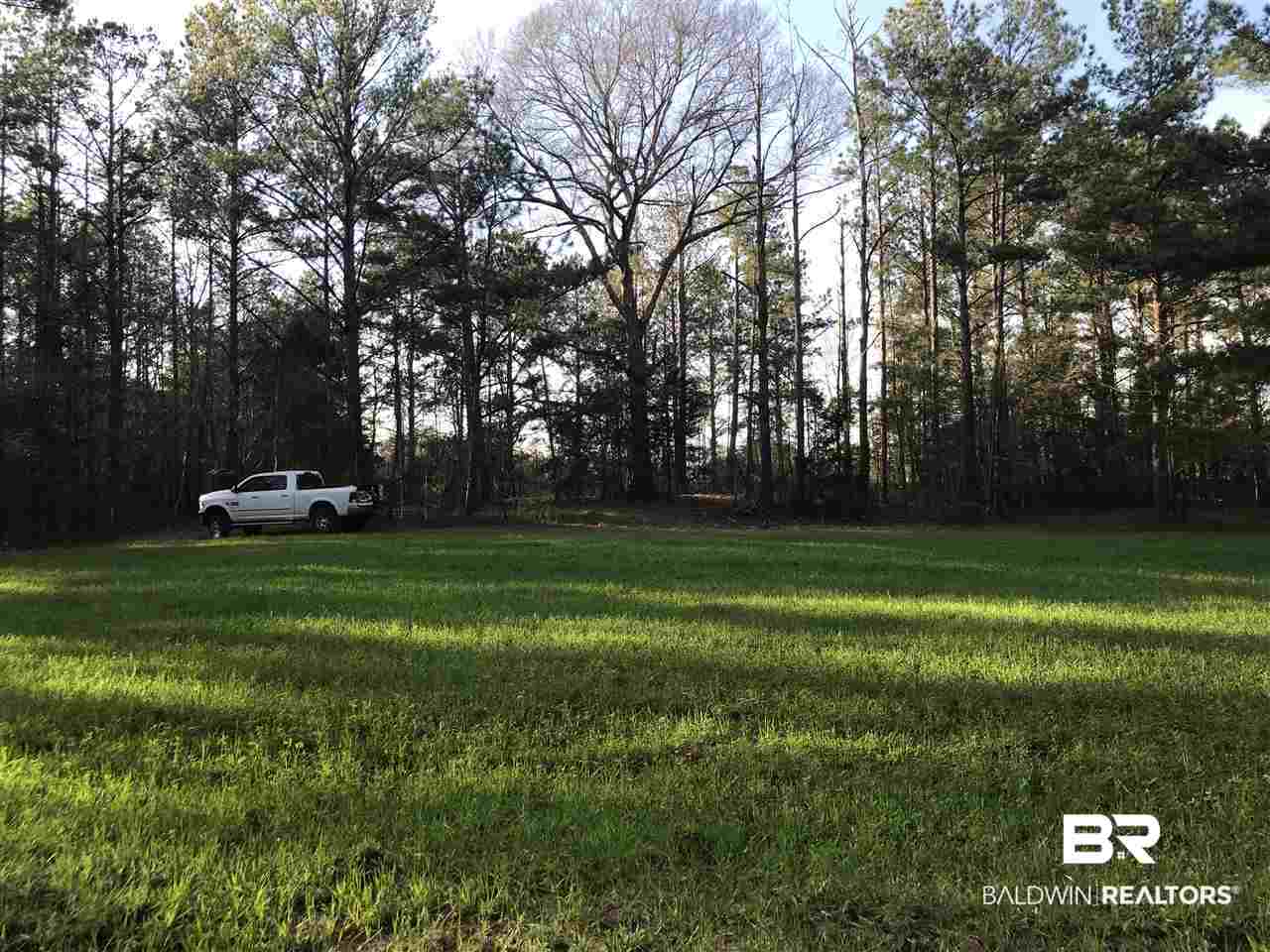 1478 Ridge Road Greenville, AL 36037 - Photo 4 of 50