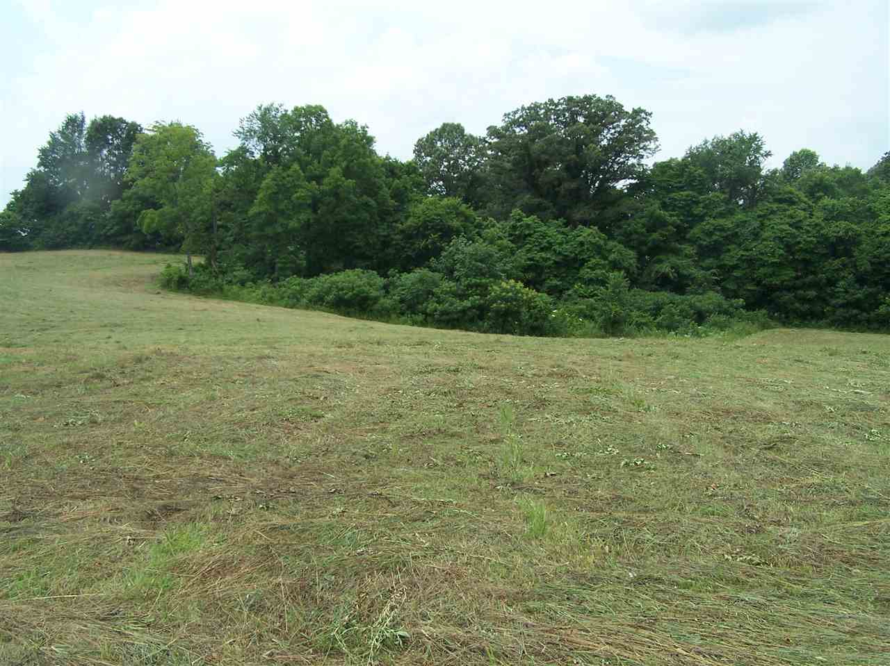 0 Stoney Point Church Road Smiths Grove, KY 42171 - Photo 8 of 9 Gallery Image 8