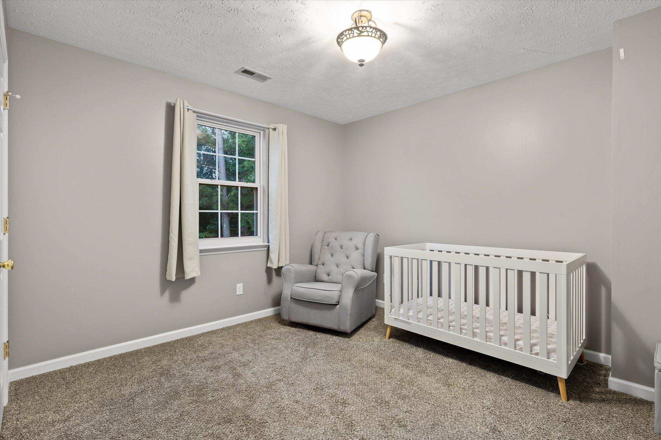 271 Chestnut Ridge Road Ringgold, GA 30736 - Photo 34 of 44 55-Chestnut Ridge-55