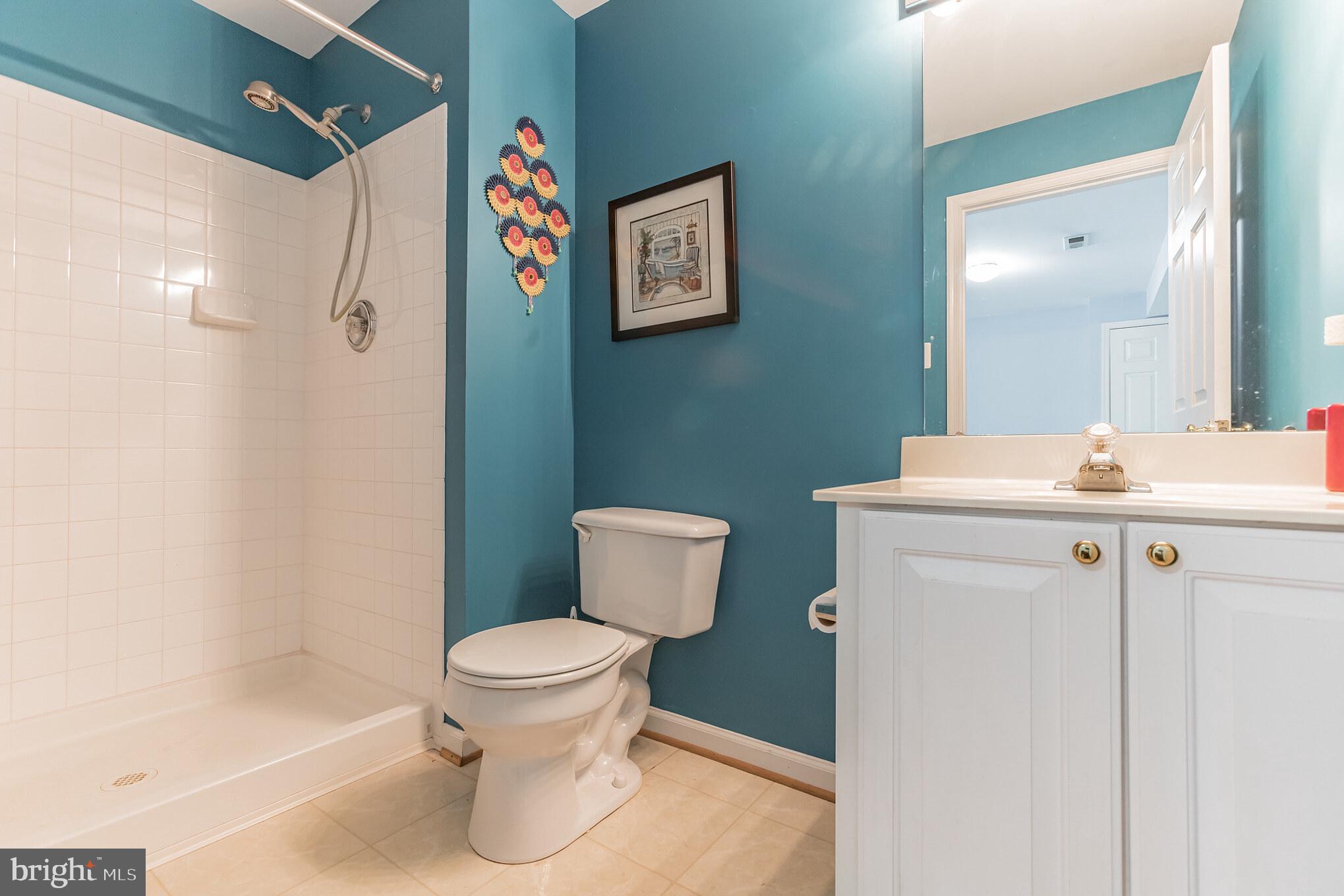 18715 Olney Mill Road Olney, MD 20832 - Photo 45 of 50 Lower Level Full Bath