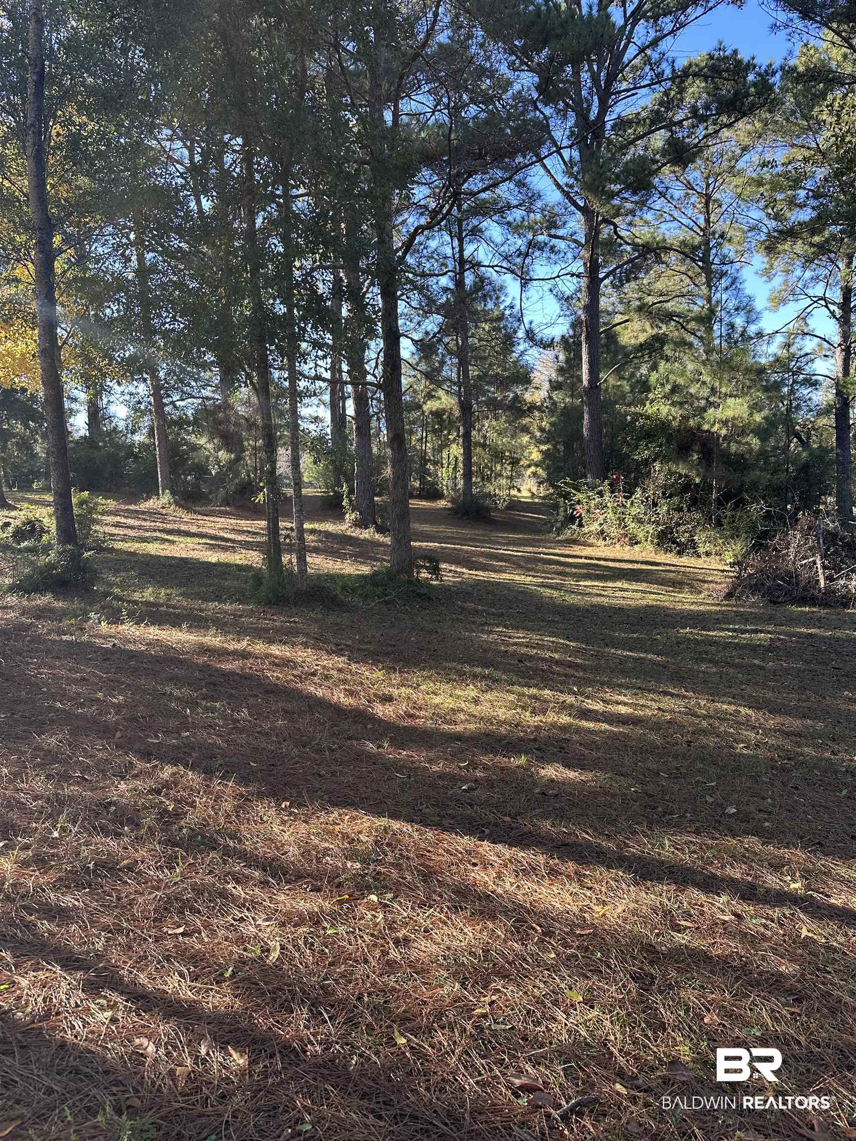 35840 County Road 39 Stapleton, AL 36578 - Photo 15 of 16 Back of property.
