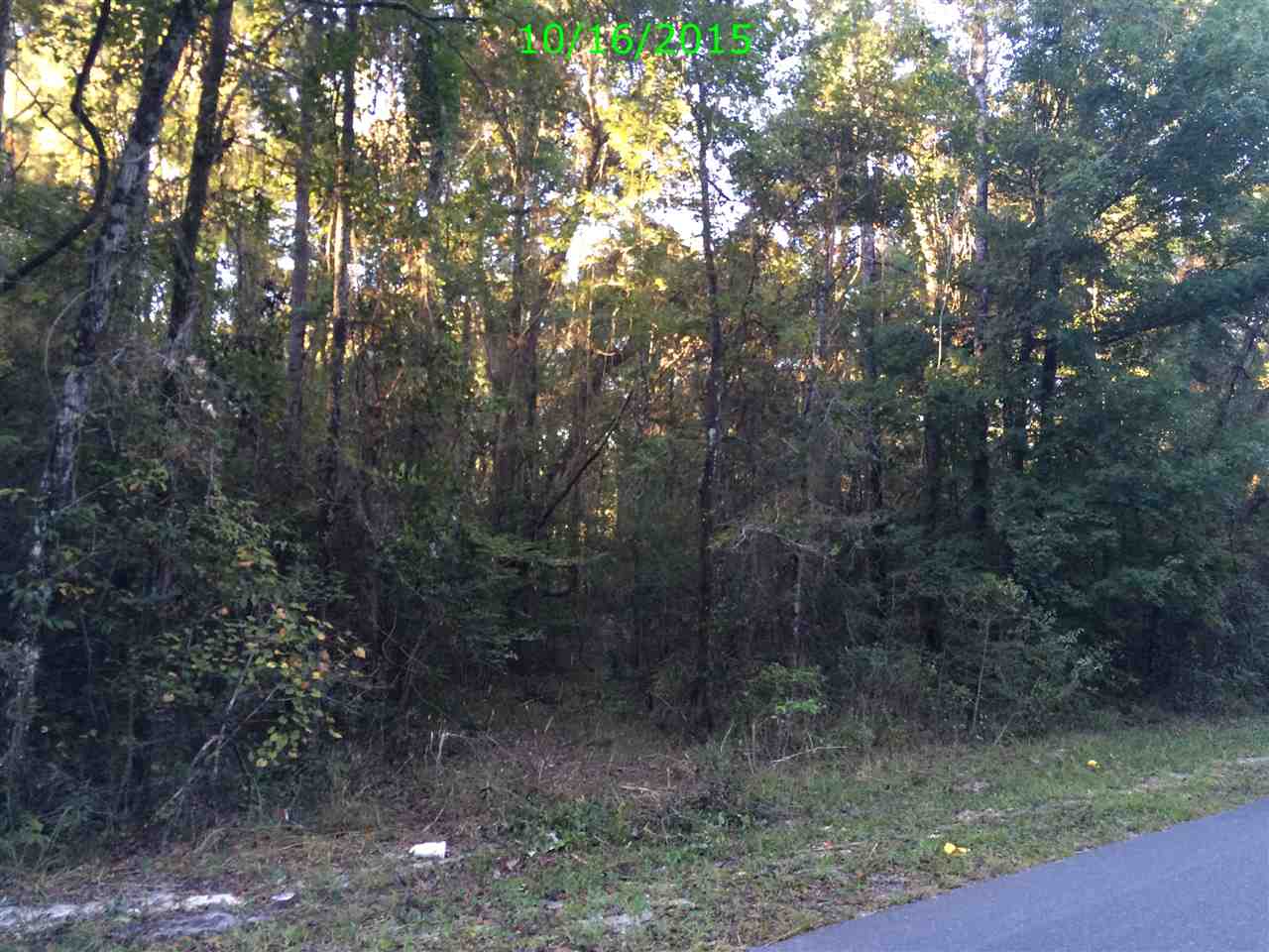 Xxx Staten Road Crawfordville, FL 32327 - Photo 2 of 2