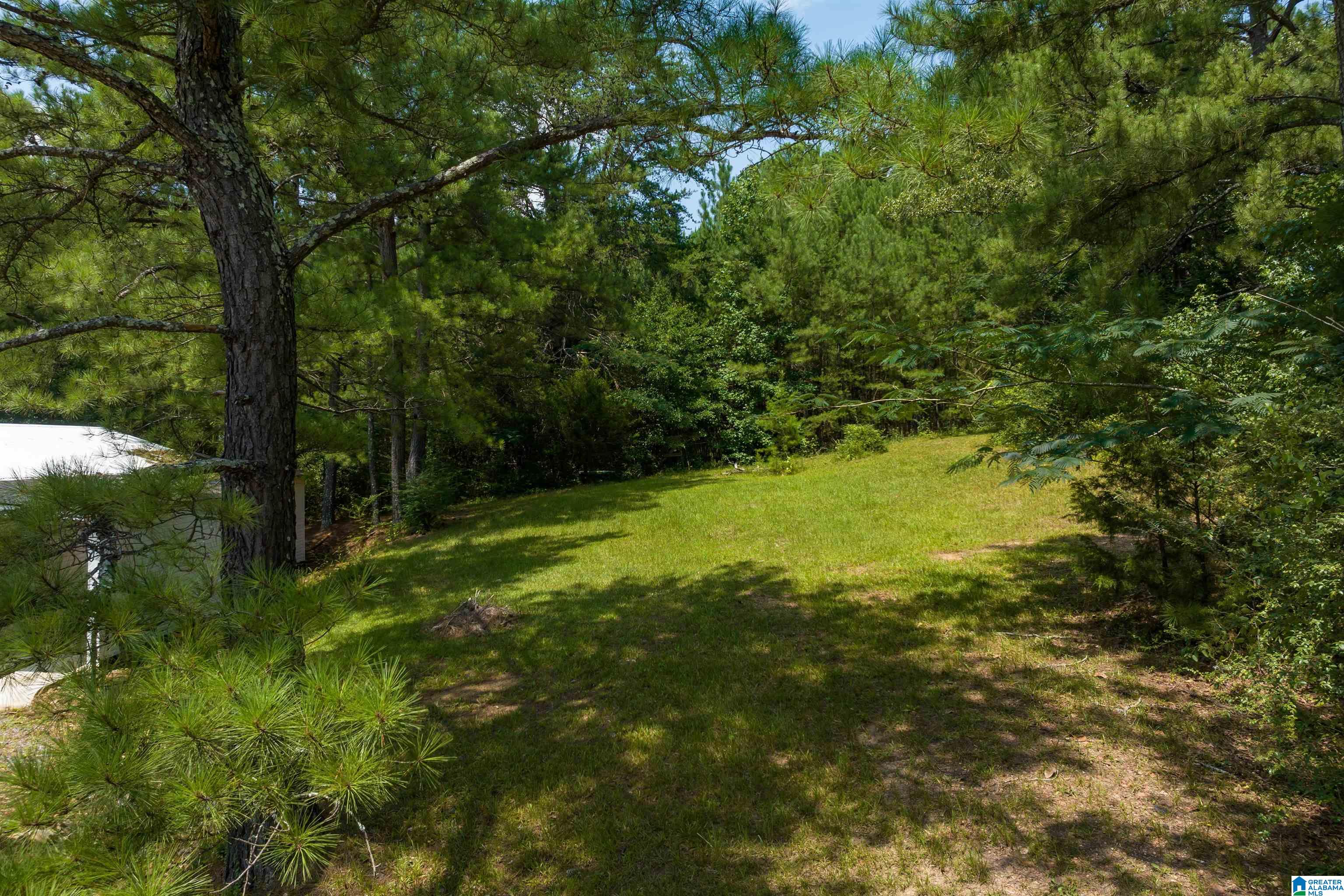 1661 New Bethel School Road Warrior, AL 35180 - Photo 27 of 37