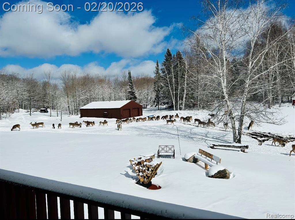 21805 South Wilwin Road Trout Lake, MI 49793 - Photo 29 of 54