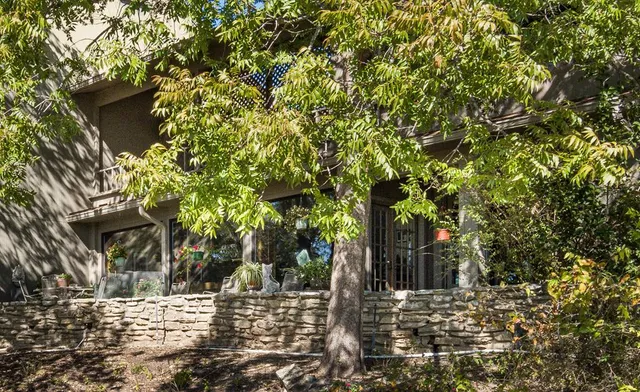 a view of a yard covered with tall trees