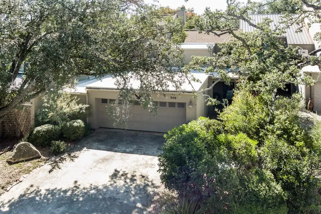 a view of a yard with plants and a large tree