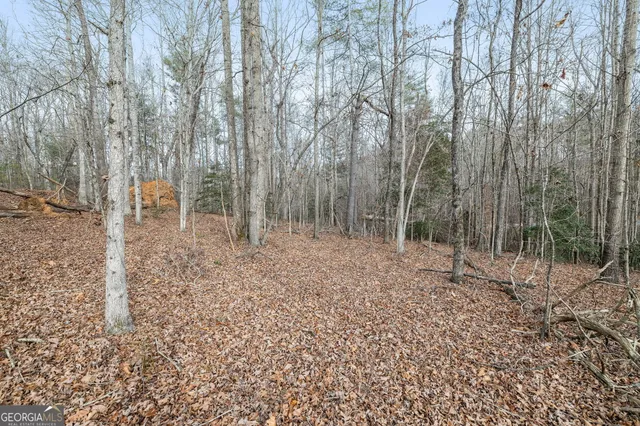 $69,900 | 0 Beachwood Drive, Unit 35, Cornelia, GA 30531