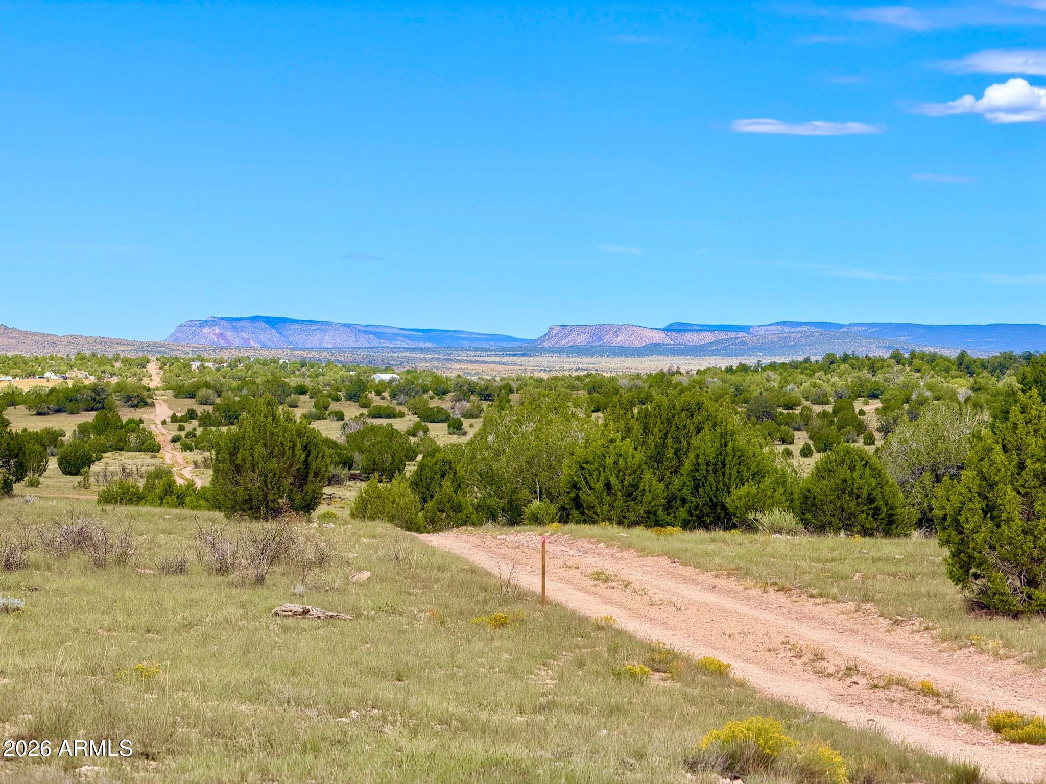 0 Dusty Rose Ranch Seligman, AZ 86337 - Photo 11 of 20 IMG_8151