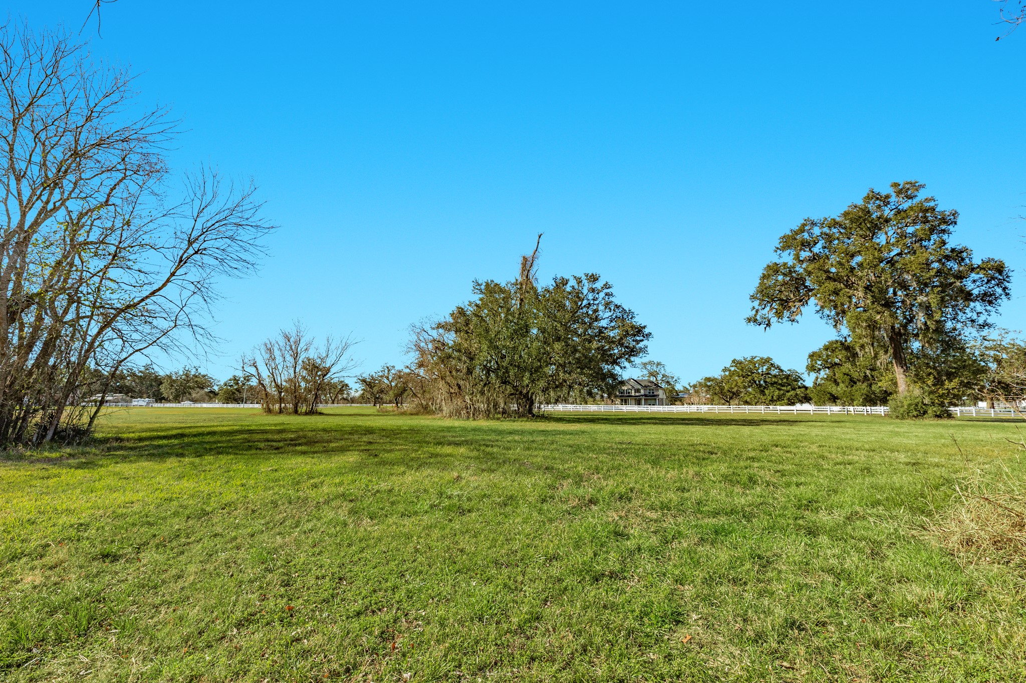 1119 Indian Ridge Rosharon, TX 77583 - Photo 2 of 7 a big yard with lots of green space and trees