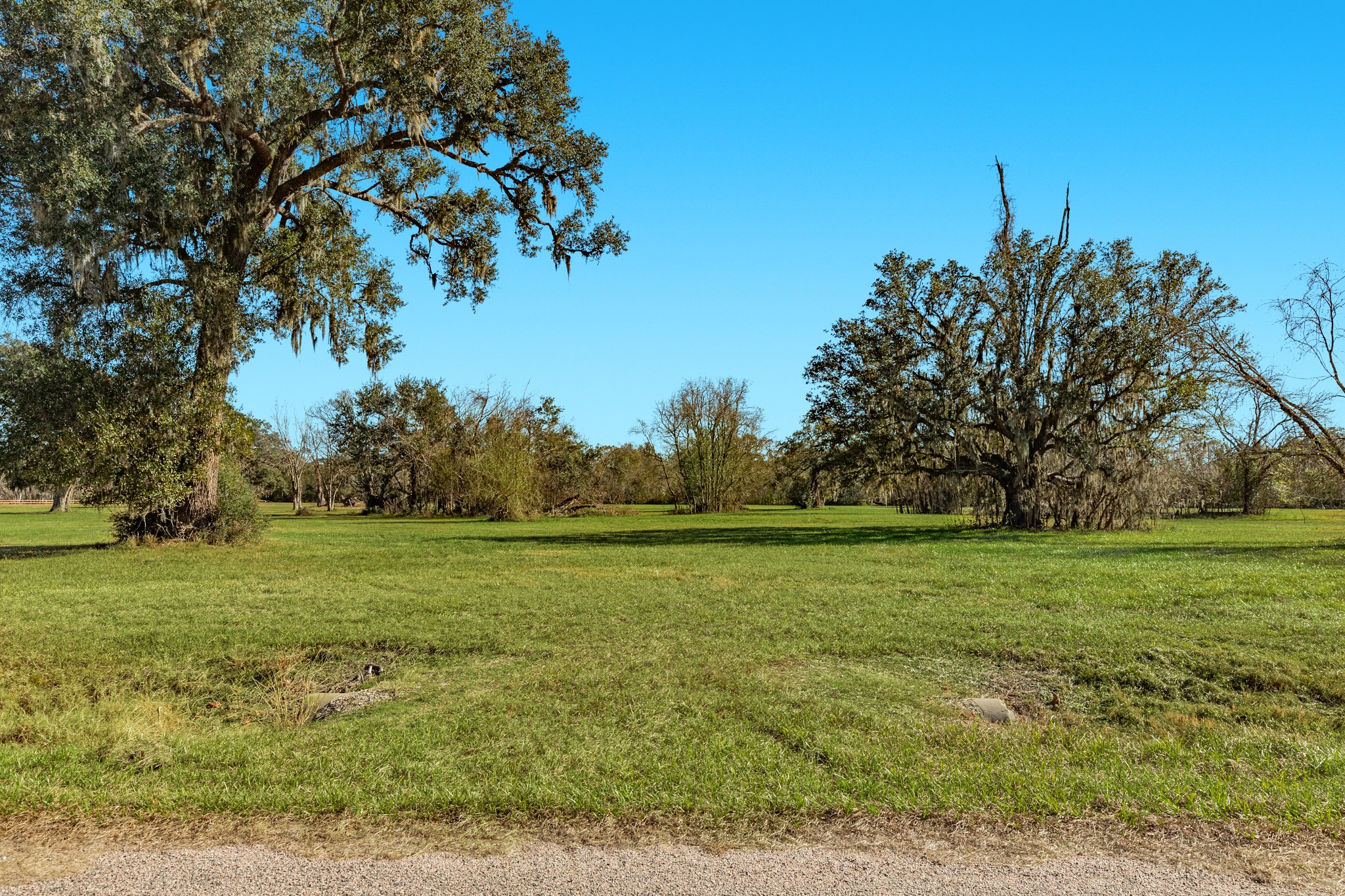1119 Indian Ridge Rosharon, TX 77583 - Photo 3 of 7 a view of a field with trees in the background
