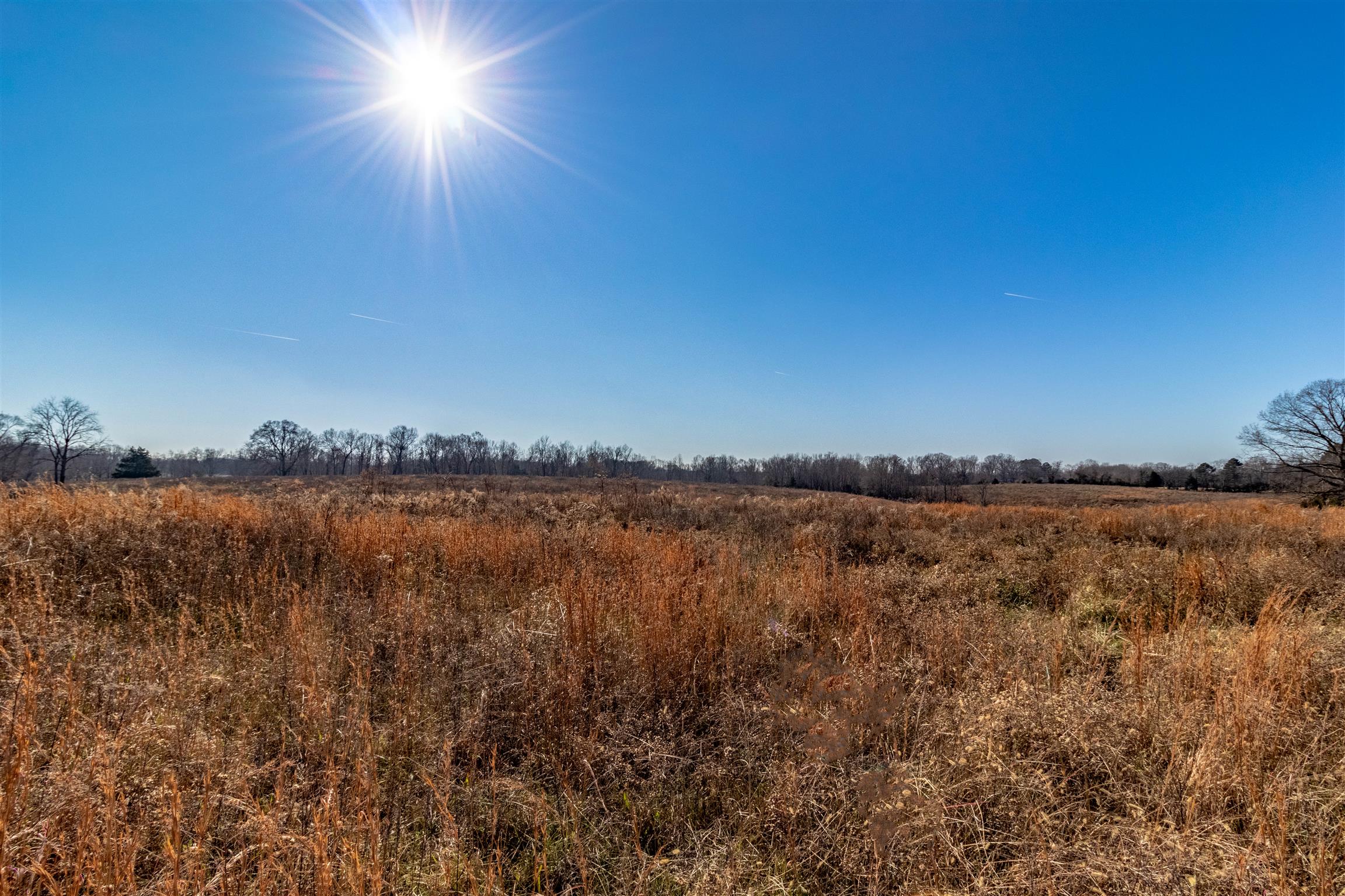 660 Houston Fielder Road Clarksville, TN 37043 - Photo 7 of 18 Gallery Image 7
