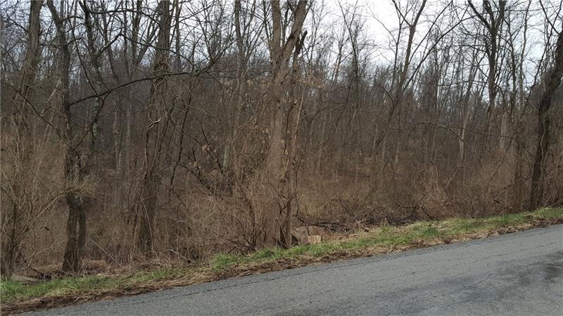 0 Sugar Run Road Venetia, PA 15367 - Photo 1 of 5 21 Acres in Nottingham Twp - Zoned R1 - Rural Residential Approx 257' frontage on Sugar Run Road