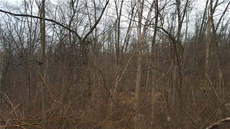 0 Sugar Run Road Venetia, PA 15367 - Photo 2 of 5 Parcel is wooded and sloped. Perfect location for a private home!