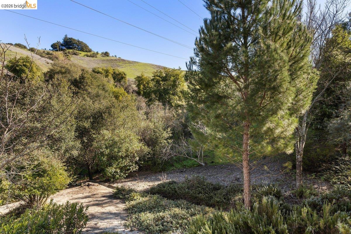 320 Corte Gabriel Moraga, CA 94556 - Photo 32 of 33 a view of a field with a tree