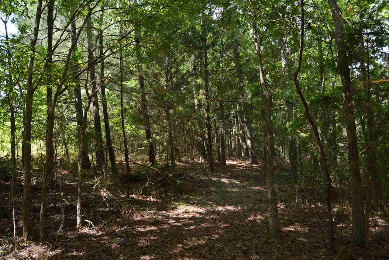 3133 Burlington Mills Road Wake Forest, NC 27587 - Photo 10 of 17 Trees on Property