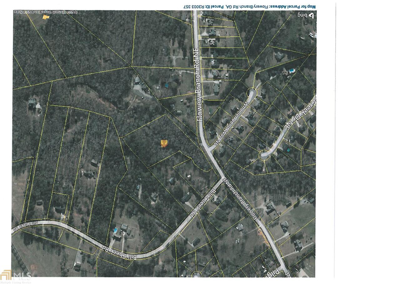 0 Flowery Branch Road Auburn, GA 30011 - Photo 1 of 1 Gallery Image 1