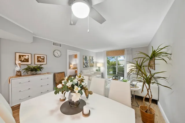 a living room with furniture flowerpot and a potted plant
