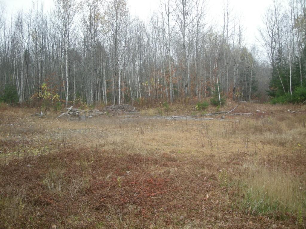 161 Hadley Mill Road Jackson, ME 04921 - Photo 23 of 35 Photo