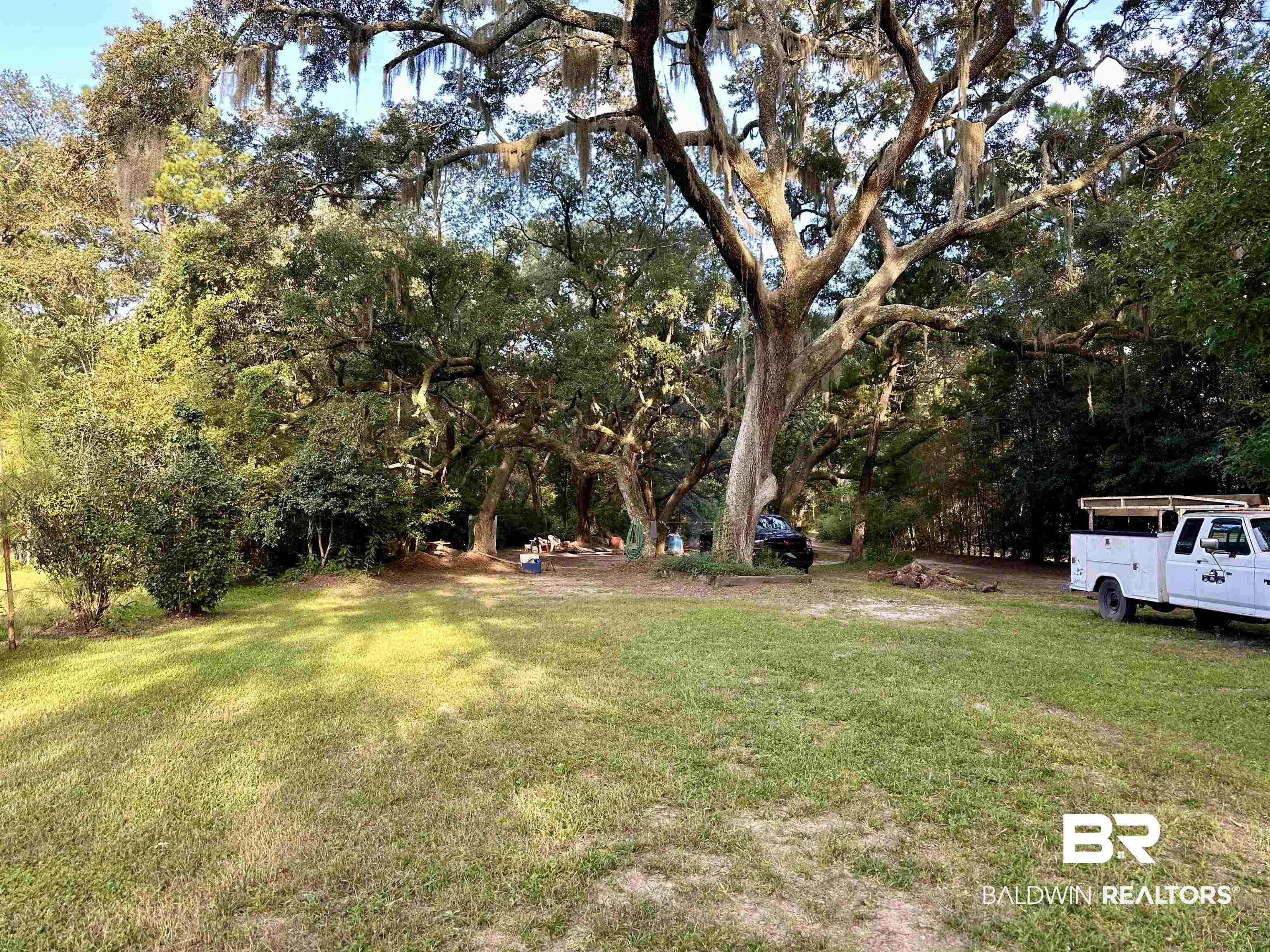11057 Boudan Lane Foley, AL 36535 - Photo 13 of 18 View of yard