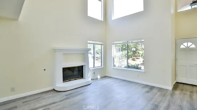 a living room with a couch and a potted plant