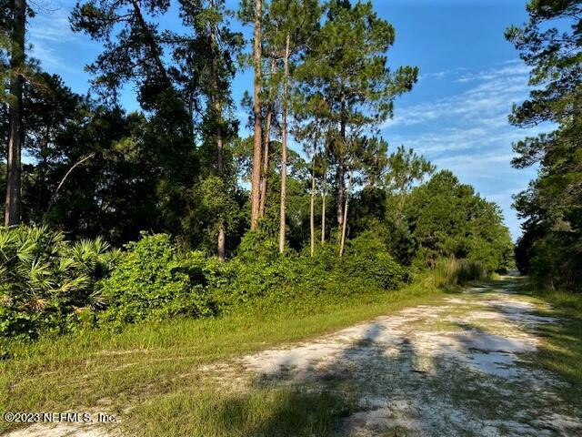 418 Whispering Pines Road Georgetown, FL 32139 - Photo 1 of 11 IMG_4426