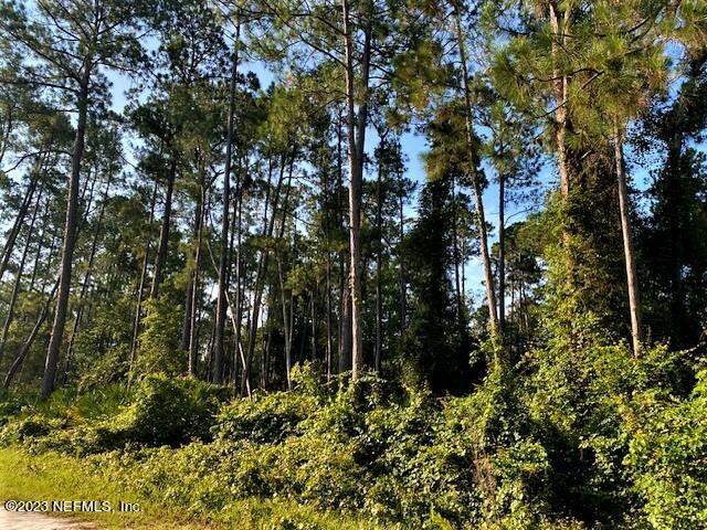 418 Whispering Pines Road Georgetown, FL 32139 - Photo 2 of 11 IMG_4423