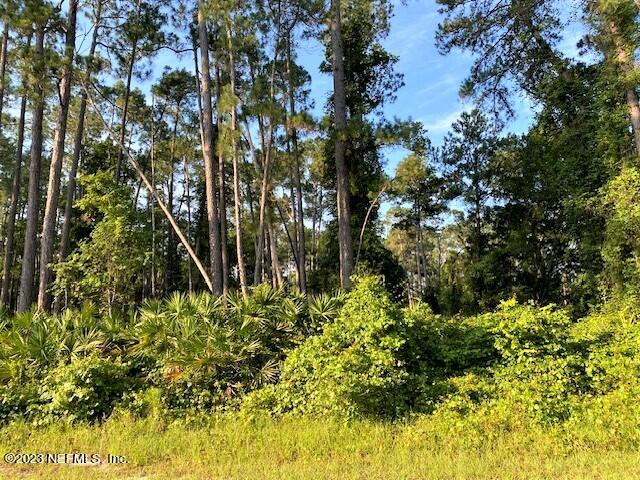 418 Whispering Pines Road Georgetown, FL 32139 - Photo 3 of 11 IMG_4424