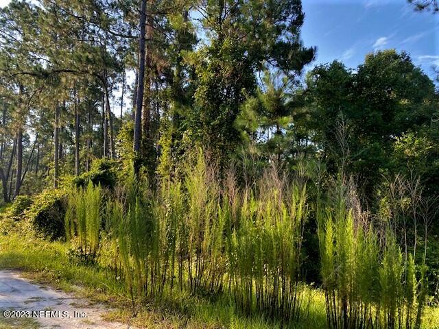 418 Whispering Pines Road Georgetown, FL 32139 - Photo 4 of 11 IMG_4420