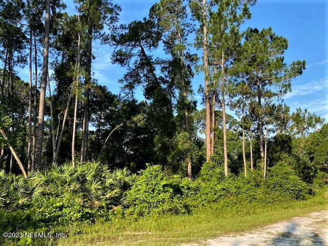 418 Whispering Pines Road Georgetown, FL 32139 - Photo 5 of 11 IMG_4425