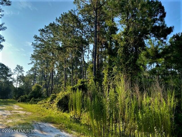 418 Whispering Pines Road Georgetown, FL 32139 - Photo 6 of 11 IMG_4421