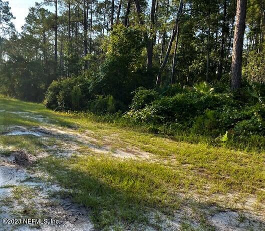 418 Whispering Pines Road Georgetown, FL 32139 - Photo 7 of 11 IMG_4427