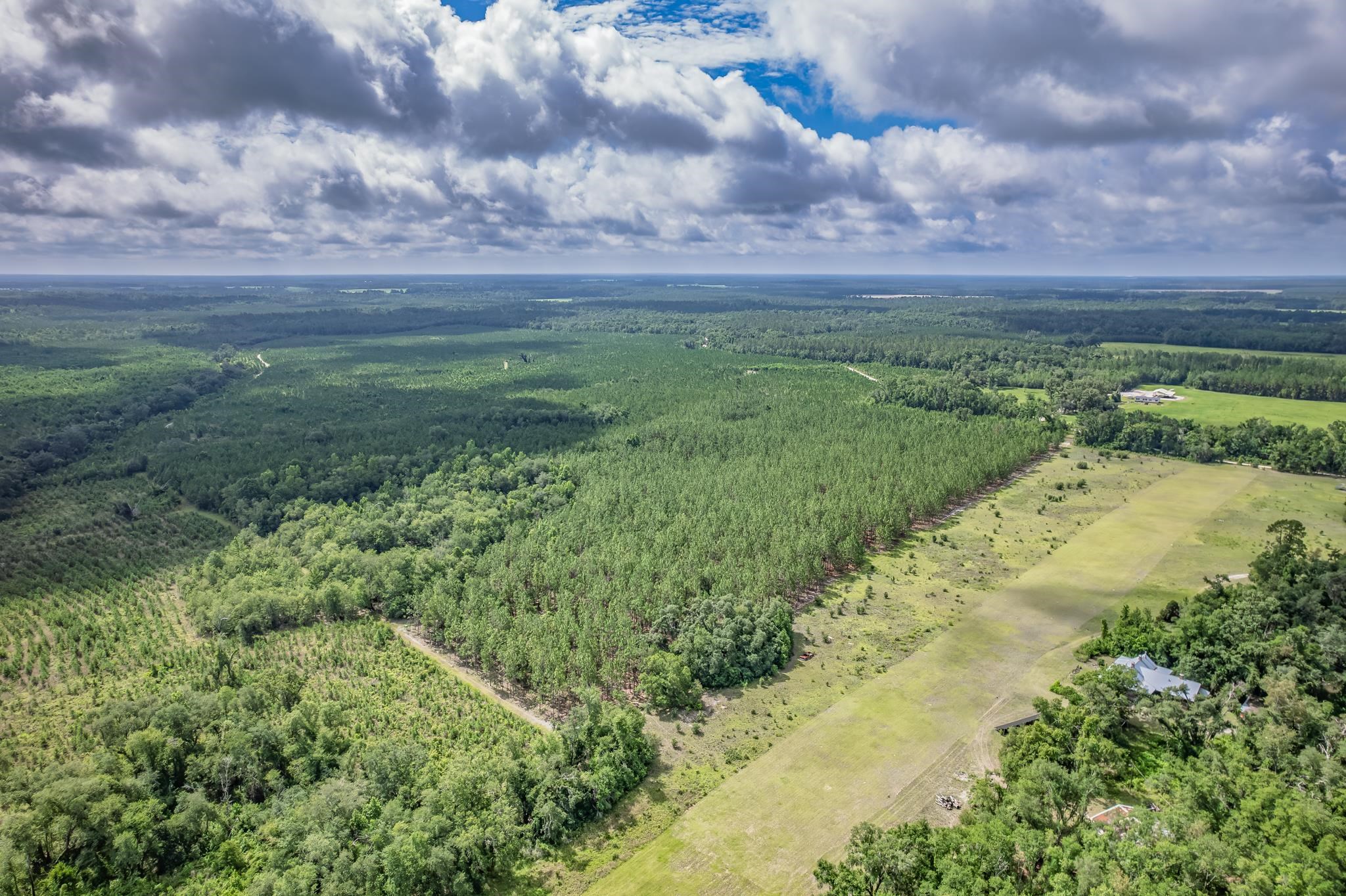 Xxx Northeast Hickory Grove Road Pinetta, FL 32350 - Photo 11 of 32