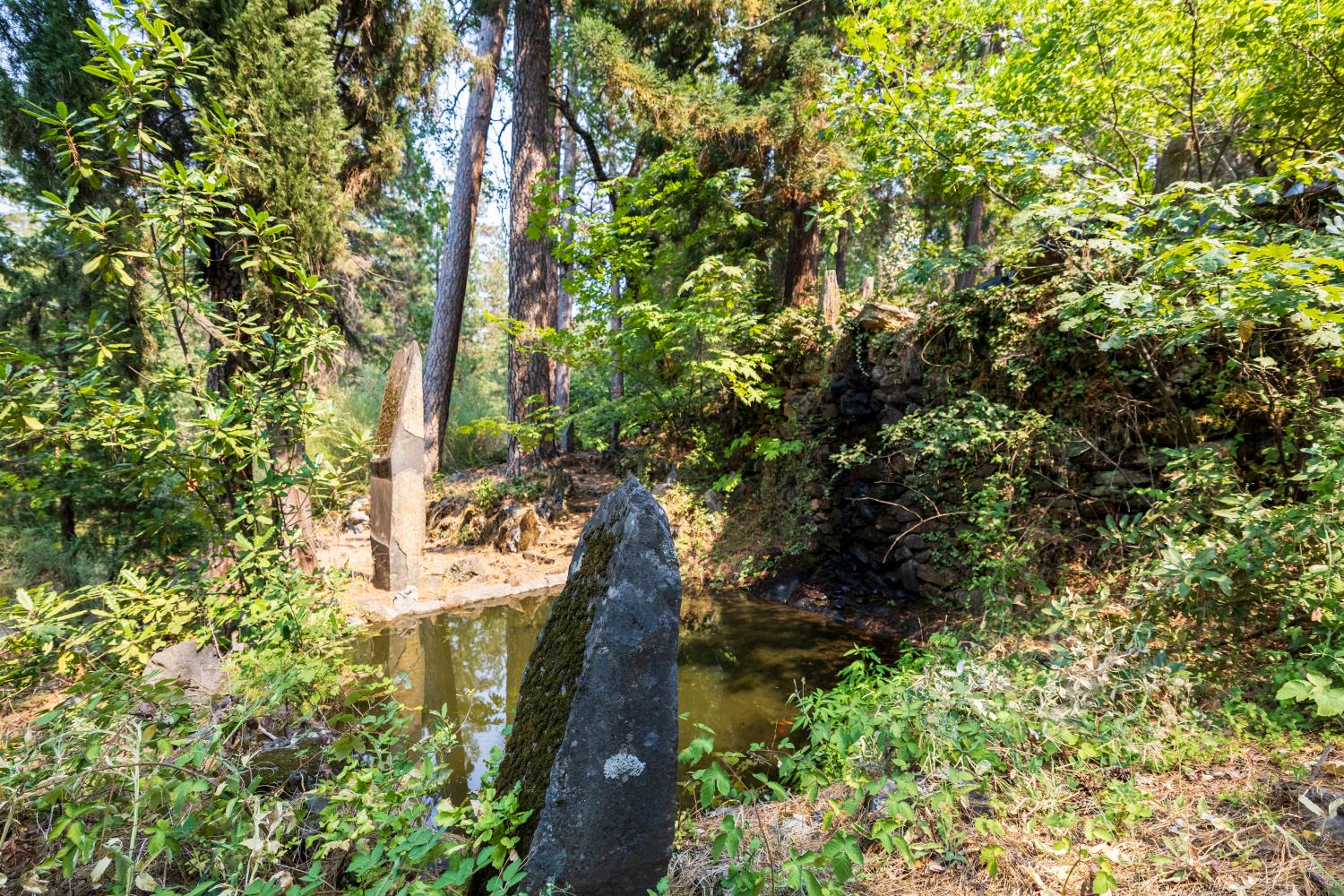 18925 Applegate Road Applegate, CA 95703 - Photo 51 of 56 Gallery Image 51