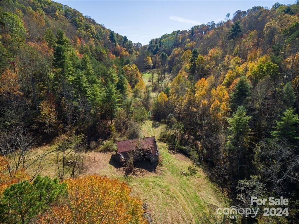 679 Clarks Branch Road Leicester, NC 28748 - Photo 1 of 4 Gallery Image 1