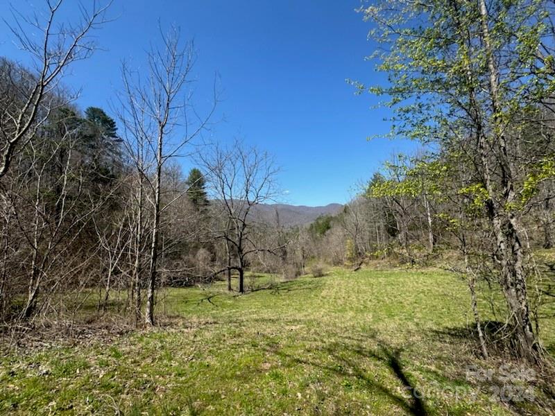 679 Clarks Branch Road Leicester, NC 28748 - Photo 2 of 4 Gallery Image 2