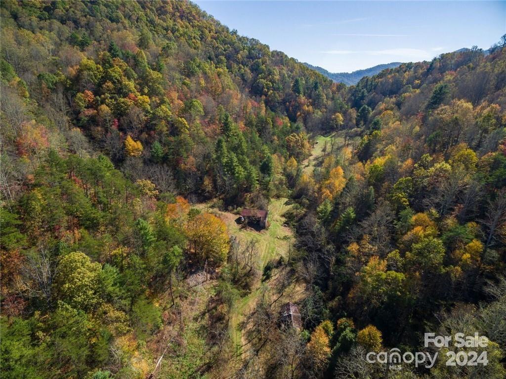 679 Clarks Branch Road Leicester, NC 28748 - Photo 3 of 4 Gallery Image 3