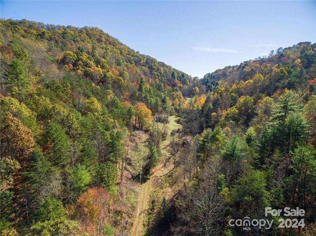 679 Clarks Branch Road Leicester, NC 28748 - Photo 4 of 4 Gallery Image 4
