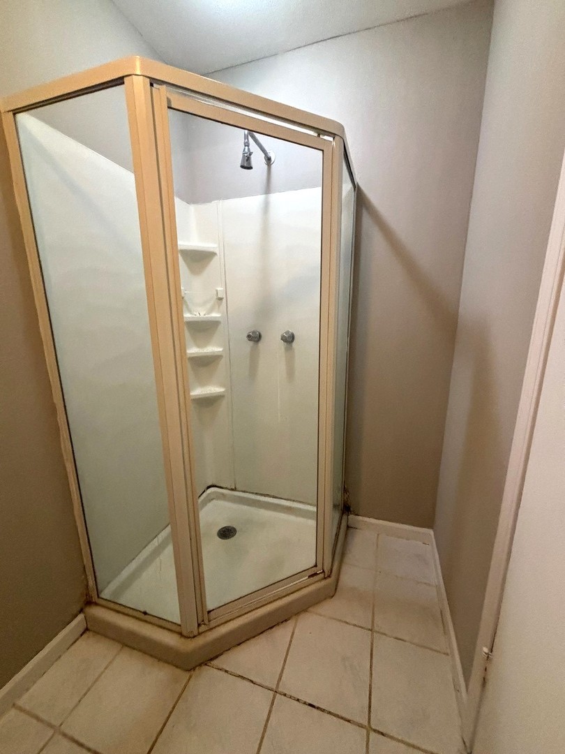 66 East Blecke Avenue, Unit 66 Addison, IL 60101 - Photo 8 of 14 a bathroom with a glass shower door