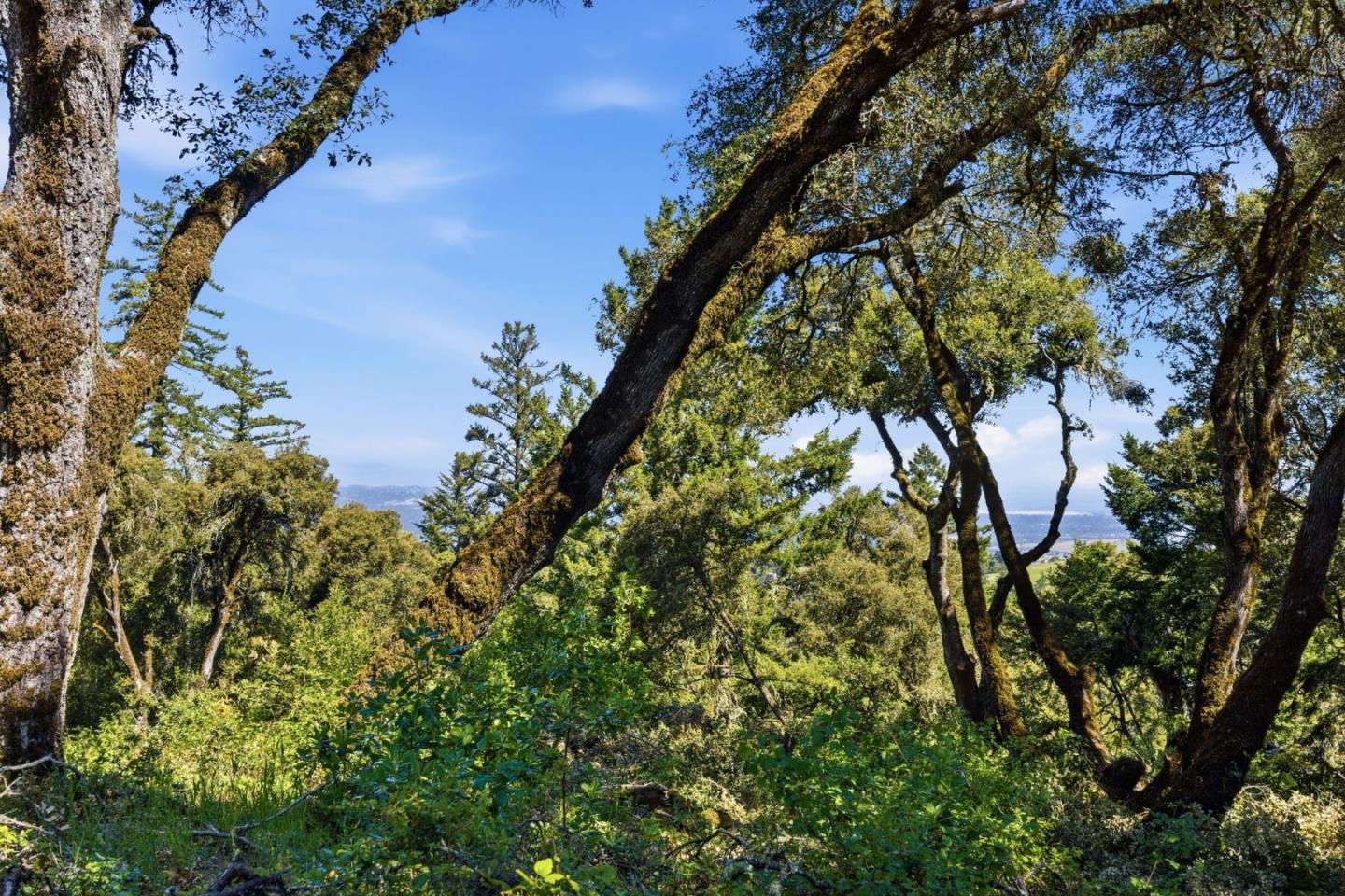 0 Page Mill Road Redwood City, CA 94062 - Photo 22 of 37