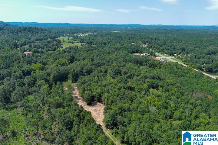 209 Harts Ferry Road, Unit 3 Ohatchee, AL 36271 - Photo 14 of 24