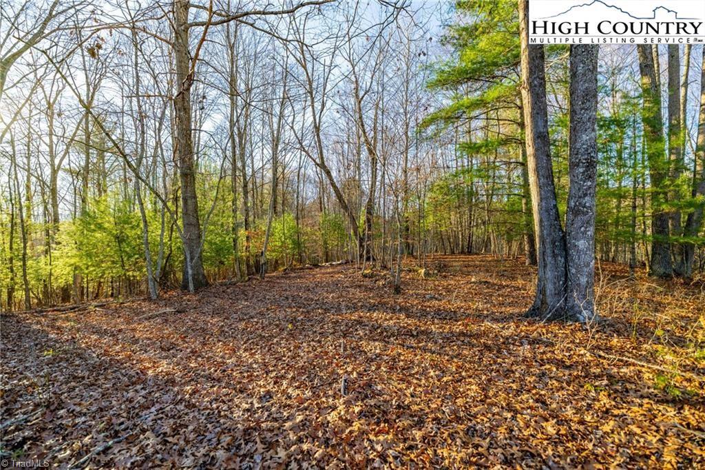 Tbd John Baker Road Crumpler, NC 28617 - Photo 1 of 1 Gallery Image 1