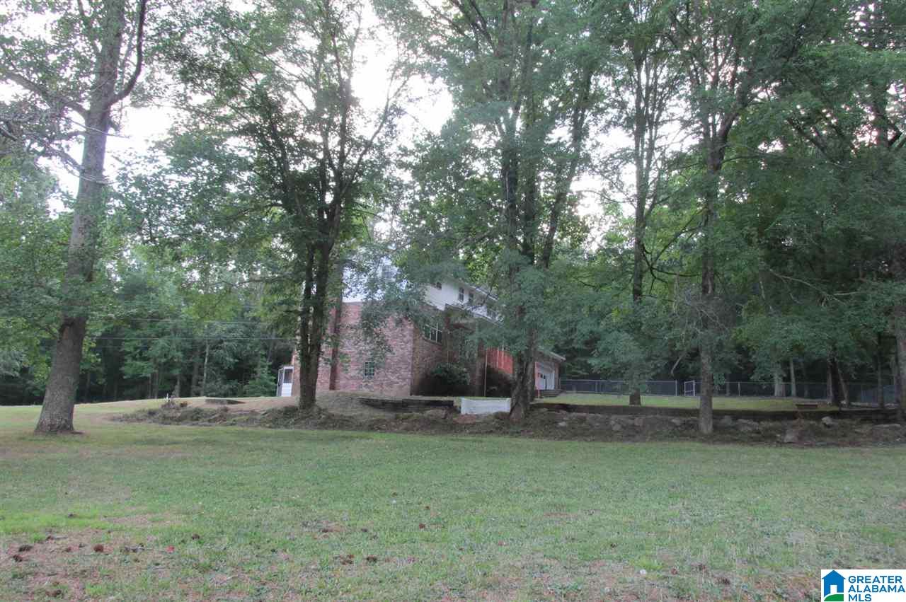 35 Buchanan Road Gadsden, AL 35904 - Photo 8 of 13