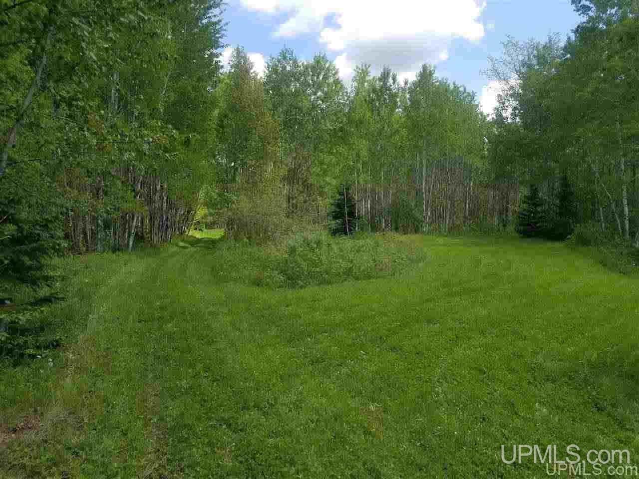 40-ac Parks Farm Road Iron River, MI 49935 - Photo 10 of 20
