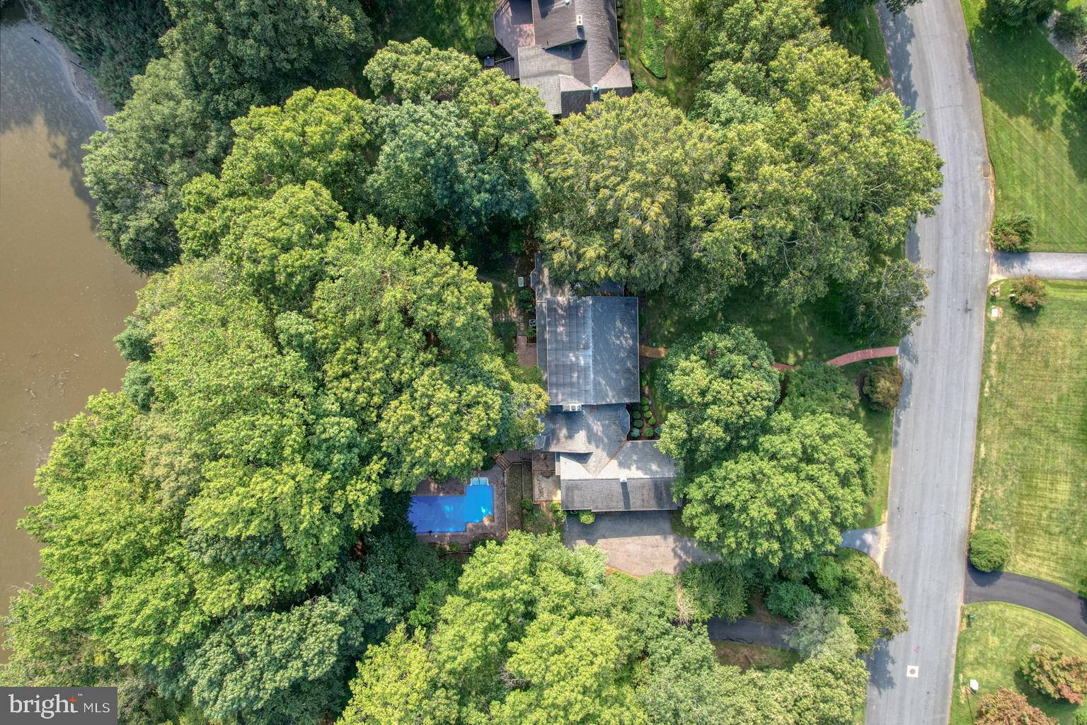 5 Stuart Drive Dover, DE 19901 - Photo 54 of 64 an aerial view of a house with a yard and large trees